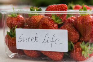 Strawberries_05